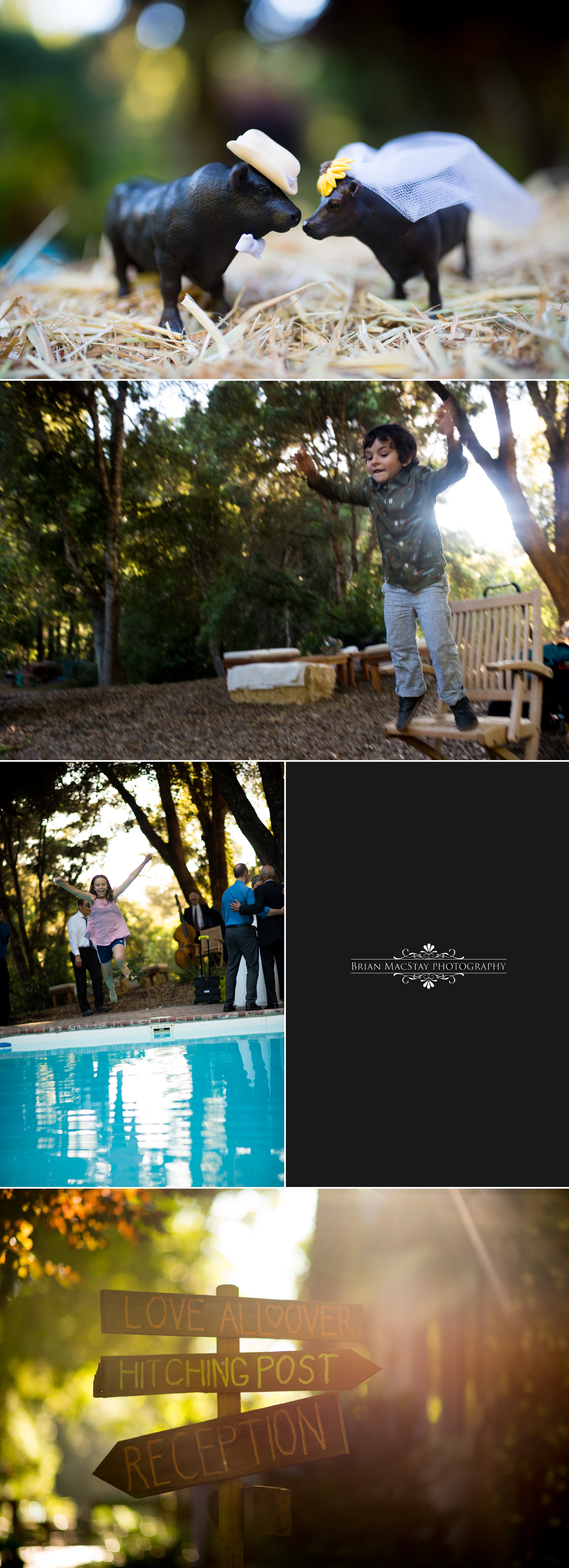 Jewish Wedding at Ritz Carlton Half Moon Bay and Private Residence in La Honda 15